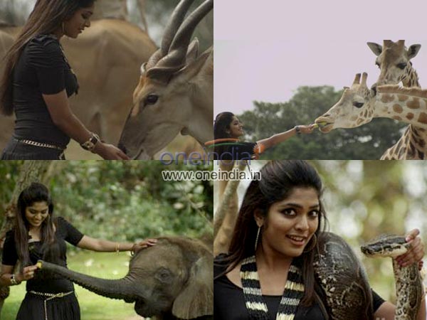 റിമ പെരുംപാമ്പിനെ കഴുത്തിലണിഞ്ഞു! റിമ പെരുംപാമ്പിനെ കഴുത്തിലണിഞ്ഞു!