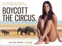 Oliviya Munn in PETA Advt Oliviya Munn in PETA Advt