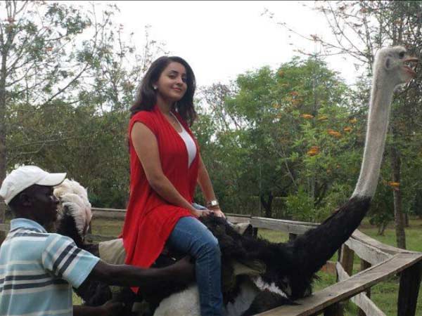 Bhama's Ostrich ride Bhama's Ostrich ride