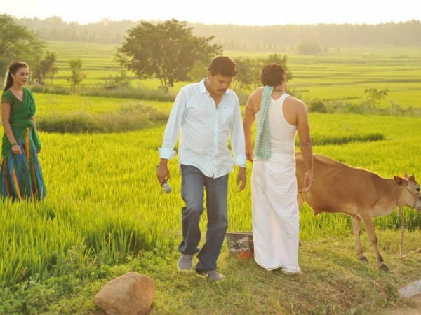 താരനിര
