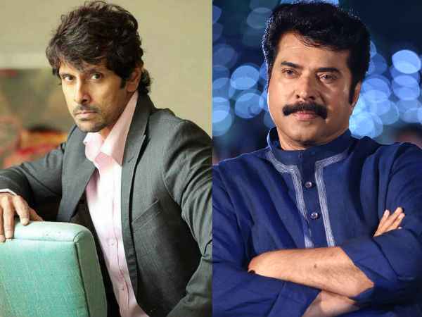vikram-mammootty vikram-mammootty