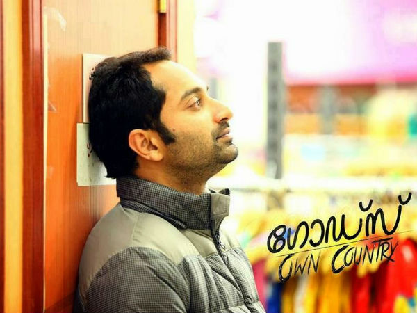 ഗോഡ്സ് ഓണ് കണ്ട്രി