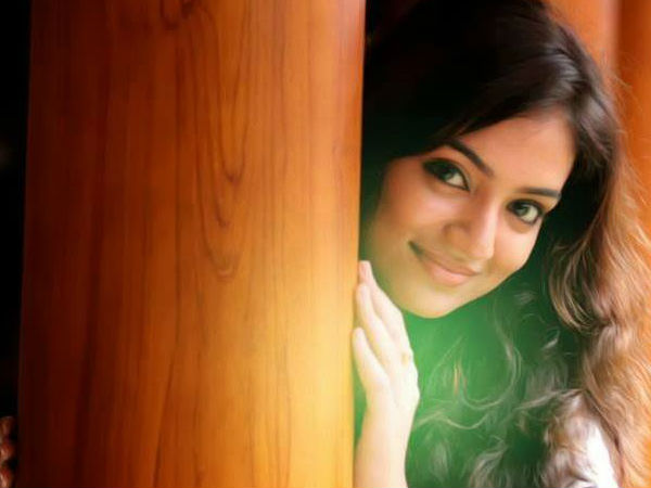മലയാളത്തില് മിന്നിക്കയറി