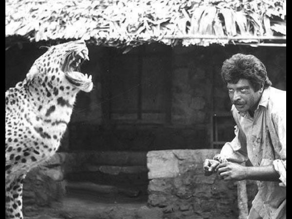 പുള്ളിപ്പുലിയും മമ്മൂട്ടിയും