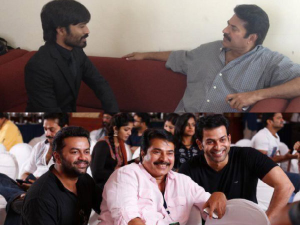 യങ്സ്റ്റേഴ്സിനൊപ്പം