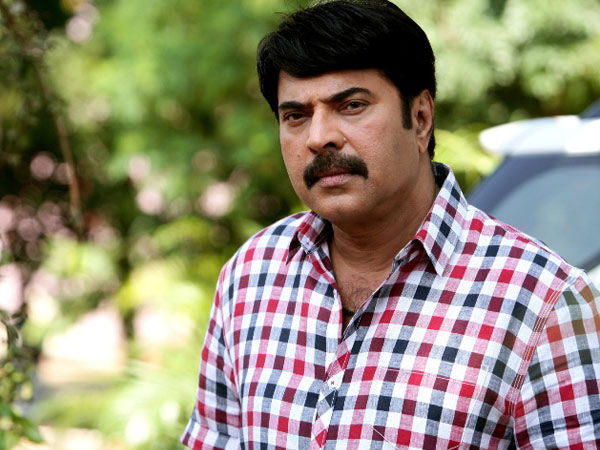 നാല് വര്ഷത്തിനിടെ 120 ല്പരം ചിത്രങ്ങള്