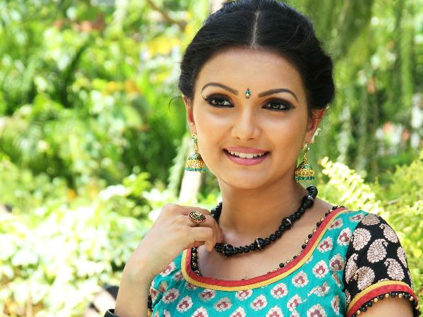 വിവാഹ ശേഷം അഭിനയം?