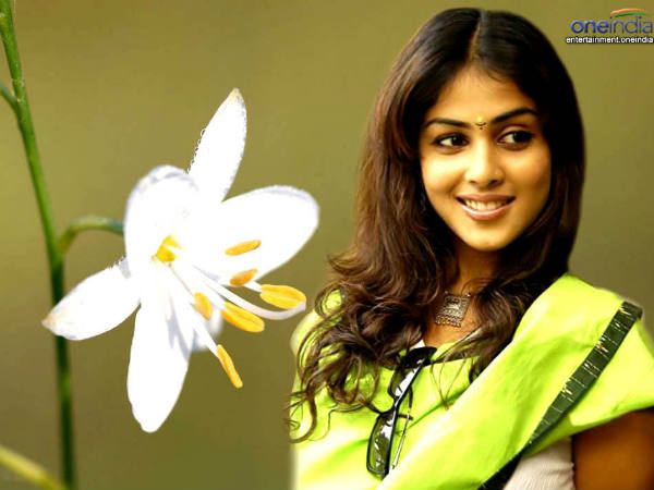 ക്യൂട്ടായ ജെനീലിയ