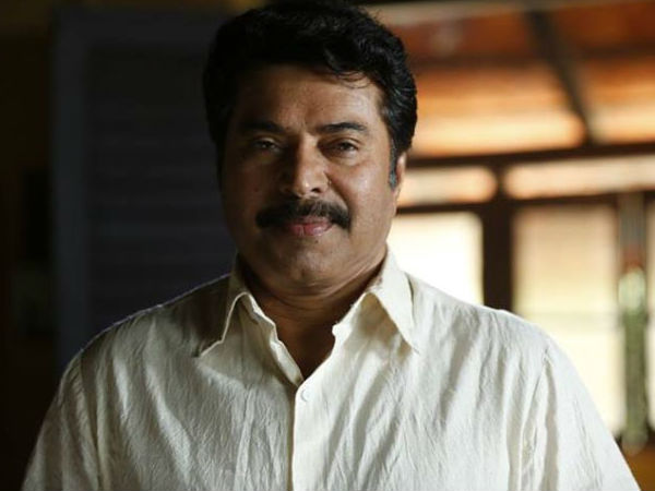 മികച്ച നടന് മമ്മൂട്ടിയോ?