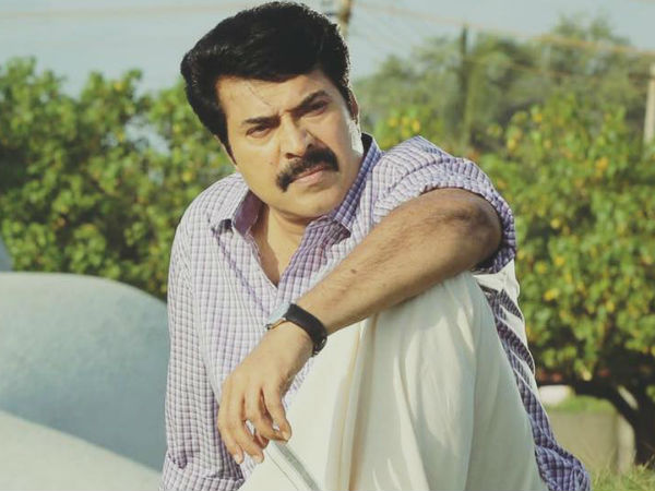 മമ്മൂട്ടി- അഡ്വ. ലൂയീസ് പോത്തന്