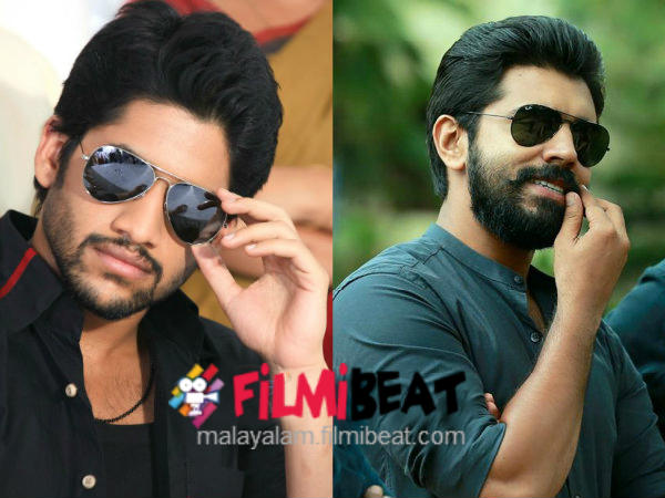 nagachaithanya-nivinpauly nagachaithanya-nivinpauly