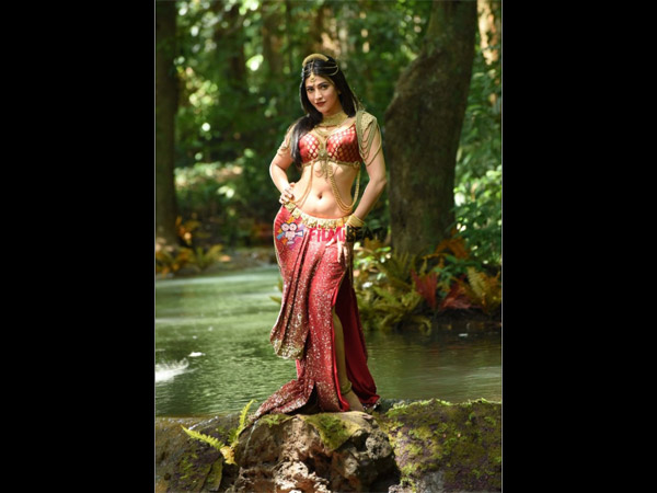 മറ്റ് കളക്ഷന്സ്