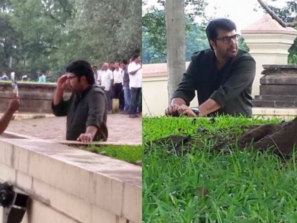 ഈ ആല്മരം