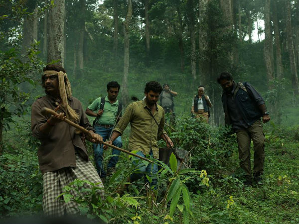 കാട്ടിലാണ് കഥ