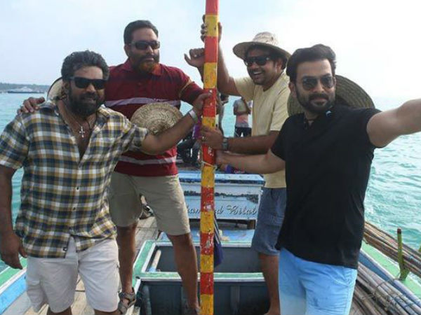പക്വതയെത്തി