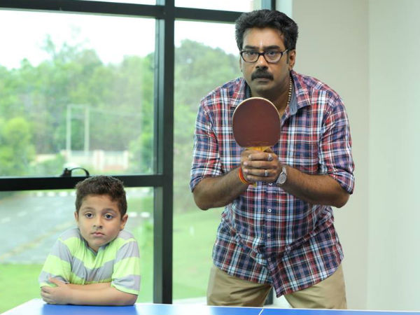 സാള്ട്ട് മാംഗോ ട്രീയെ കുറിച്ച്