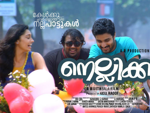 നെല്ലിക്ക