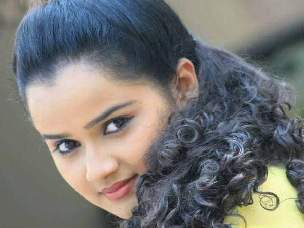 വില്ലന് റോളുകള് നിരവധി