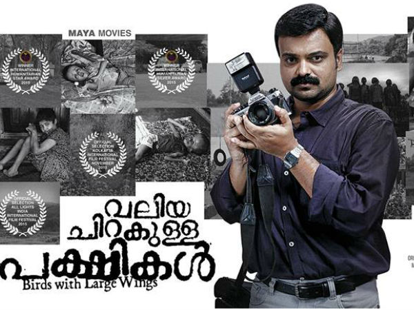 വലിയ ചിറകുള്ള പക്ഷികള്