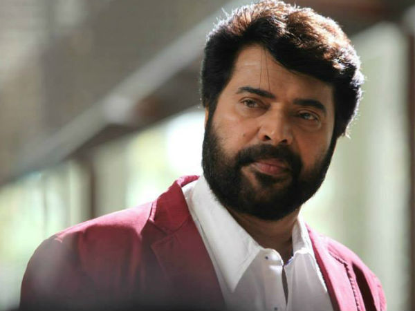 സൂര്യ ടിവിയില്