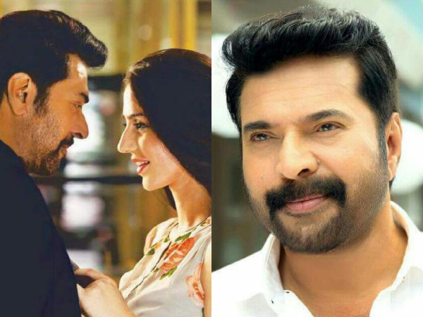 വൈറ്റ്