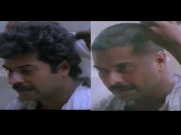 mammootty mammootty
