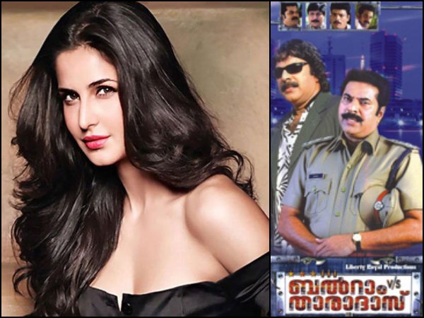 കത്രീന കൈഫ്