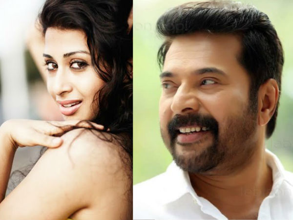 മമ്മൂട്ടിയെ കണ്ടു