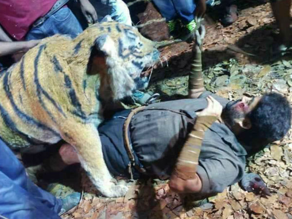 മലയാളത്തിന്റെ അഭിമാനം