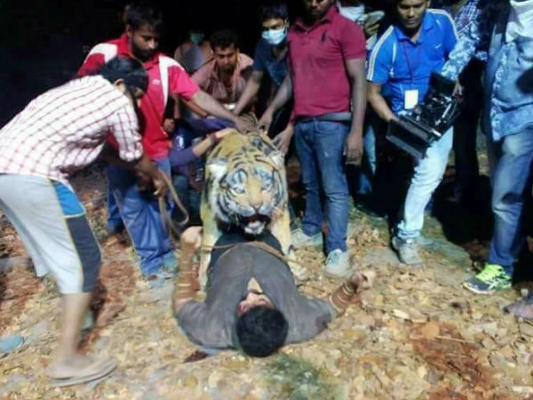 സാങ്കേതിക മികവ്