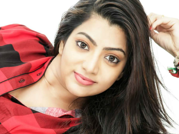 ചിത്രത്തിലെ വേഷം