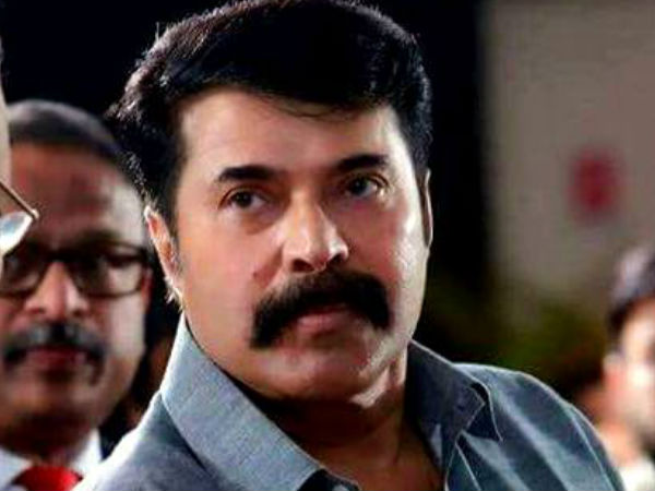 മമ്മൂട്ടിയുടെ പുതിയ സിനിമകള്