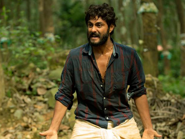 മോശമല്ലാത്ത കലക്ഷന്