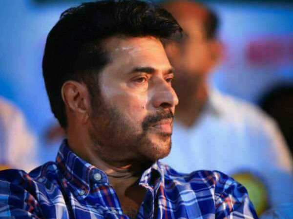 മമ്മൂട്ടി സിനിമയില്