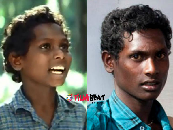 മണി
