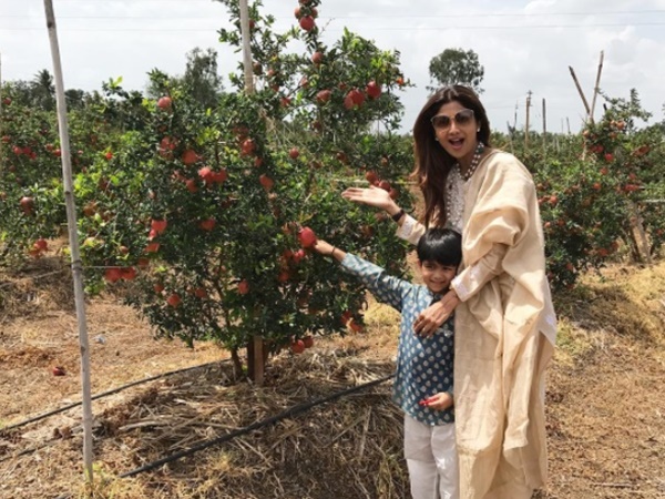 shilpa-shetty shilpa-shetty