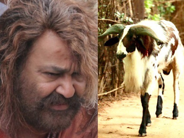 മധുര മച്ചടയാന് ഇവിടെ എന്താ കാര്യം