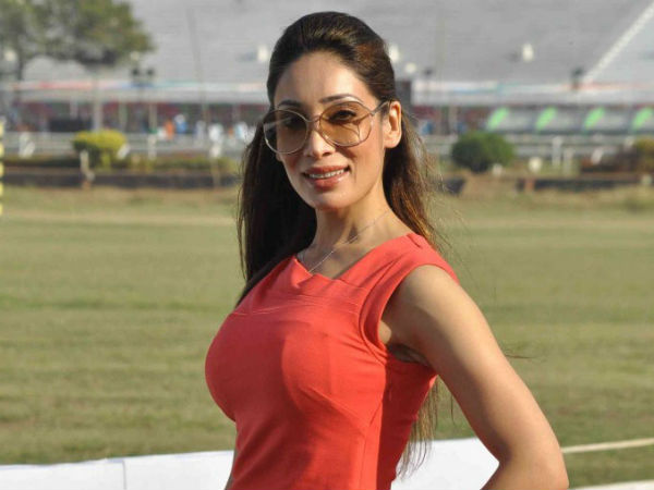 മെക്കാനിക്കല് സെക്സാണ്