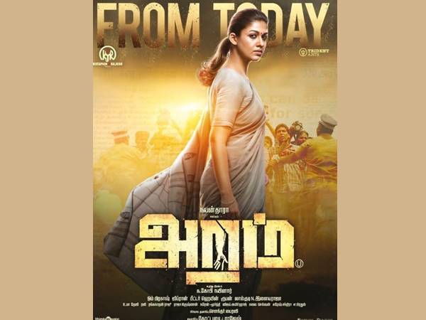 ടോറന്റ് സൈറ്റുകളില്