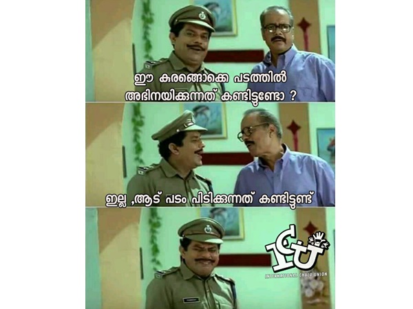 ആട് പടം പിടിക്കുന്നത് കണ്ടിട്ടുണ്ട്