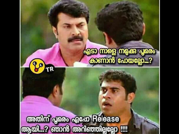 പൂമരം കാണാന് പോയാലോ?