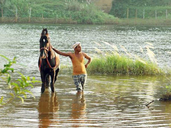 ചിരിച്ചു മരിക്കും