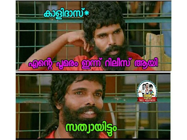 ആരും വിശ്വസിക്കുന്നില്ല...