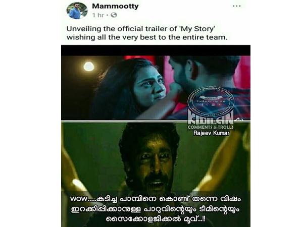 മൈ സ്റ്റോറിക്ക് ഡിസ് ലൈക്ക്