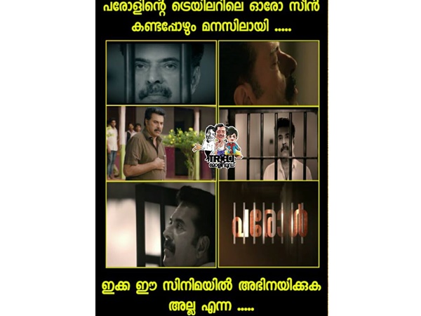അഭിനയിക്കുകയല്ല ജീവിക്കുകയാണ്