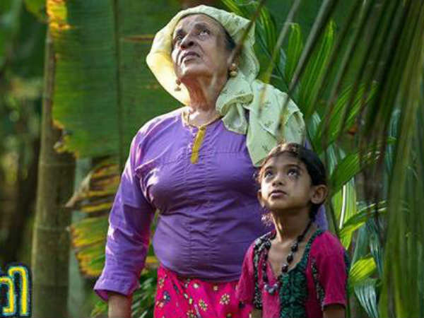 സിനിമ പ്രവേശനം വൈകിയോ