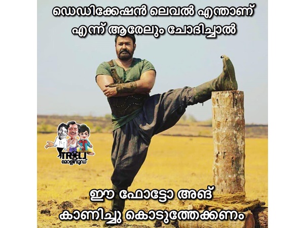 ഡെഡിക്കേഷന് ലെവല്