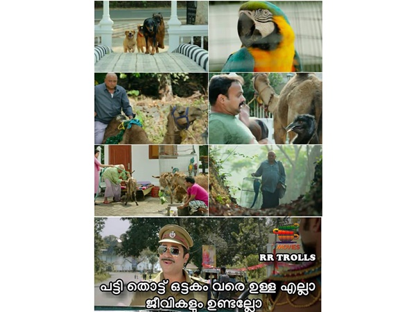 എല്ലാം ഉണ്ട്..