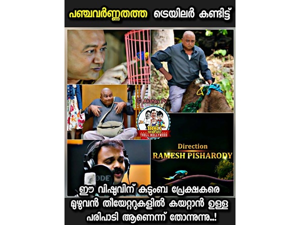 അതാണ് പരിപാടി..
