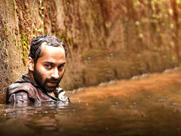 മികച്ച പ്രകടനം